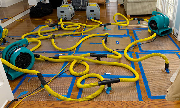 Professional Flood Damage Restoration technician working in New Suffolk, NY